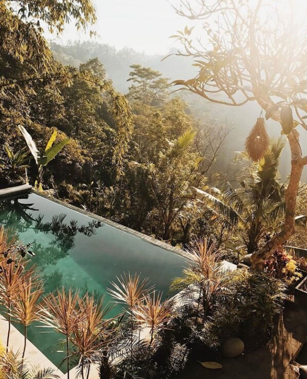 Villa, 3 Bedrooms, Non Smoking, Pool View | Infinity pool - Green View Private Villas (Payangan)