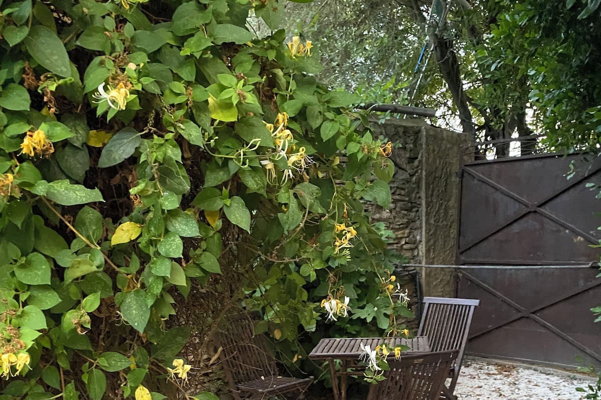 Economy-Zimmer | Terrasse/Patio