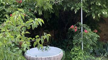 Serveert lunch, diner, Franse gerechten, uitzicht op het zwembad