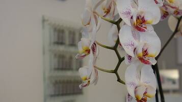 A potted orchid with white petals and purple spots, placed on a table in a room with a white wall and a framed picture in the background.
