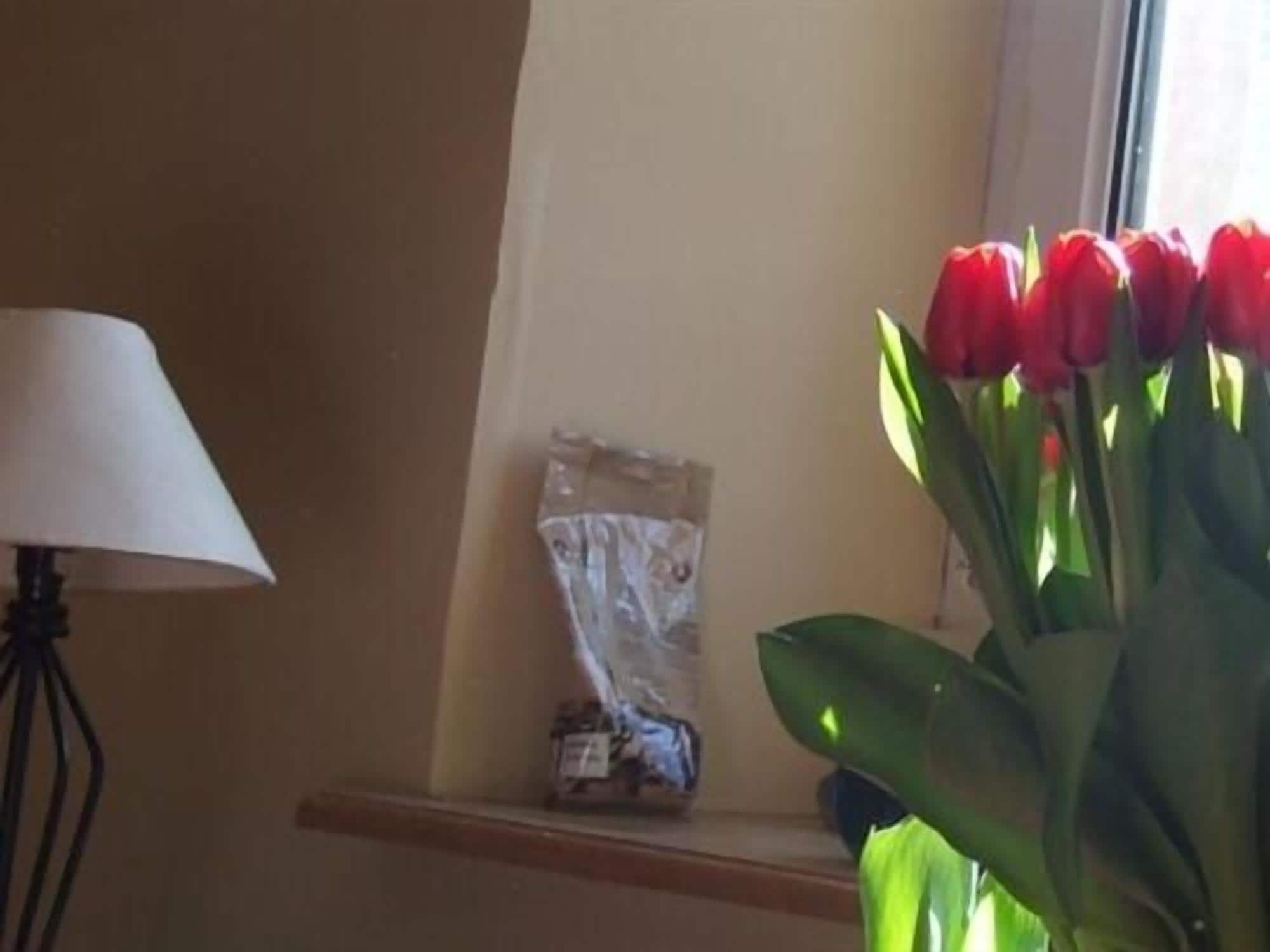 Een vensterbank met een boeket rode tulpen, een lamp en een pakket aan de muur.