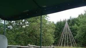 A covered seating area with a view of a forest and a wooden structure in the background. - Pension Linstant (Le Hohwald)