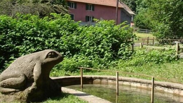 A stone frog statue in a pond with a house and greenery in the background. - Pension Linstant (Le Hohwald)