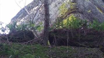 A large rock formation with moss and some vegetation around it.