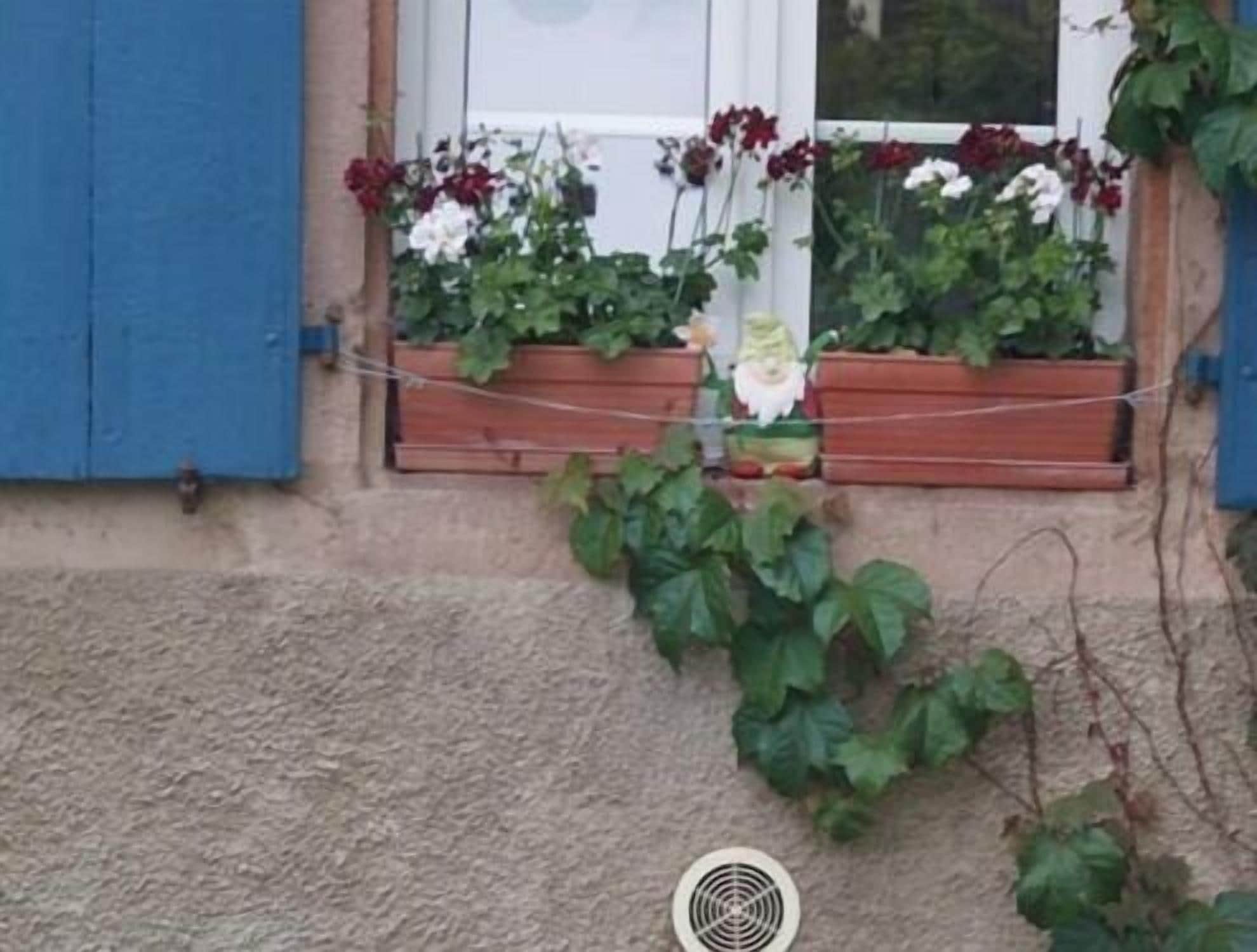 A window with wooden shutters and flower boxes containing red and white flowers.