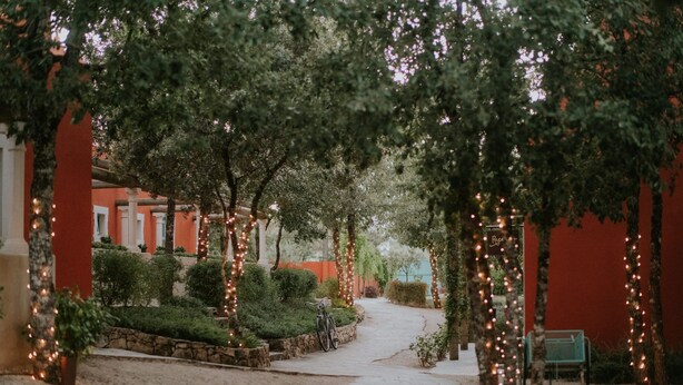 A pathway lined with trees and string lights, leading to a building with red walls and a bench.