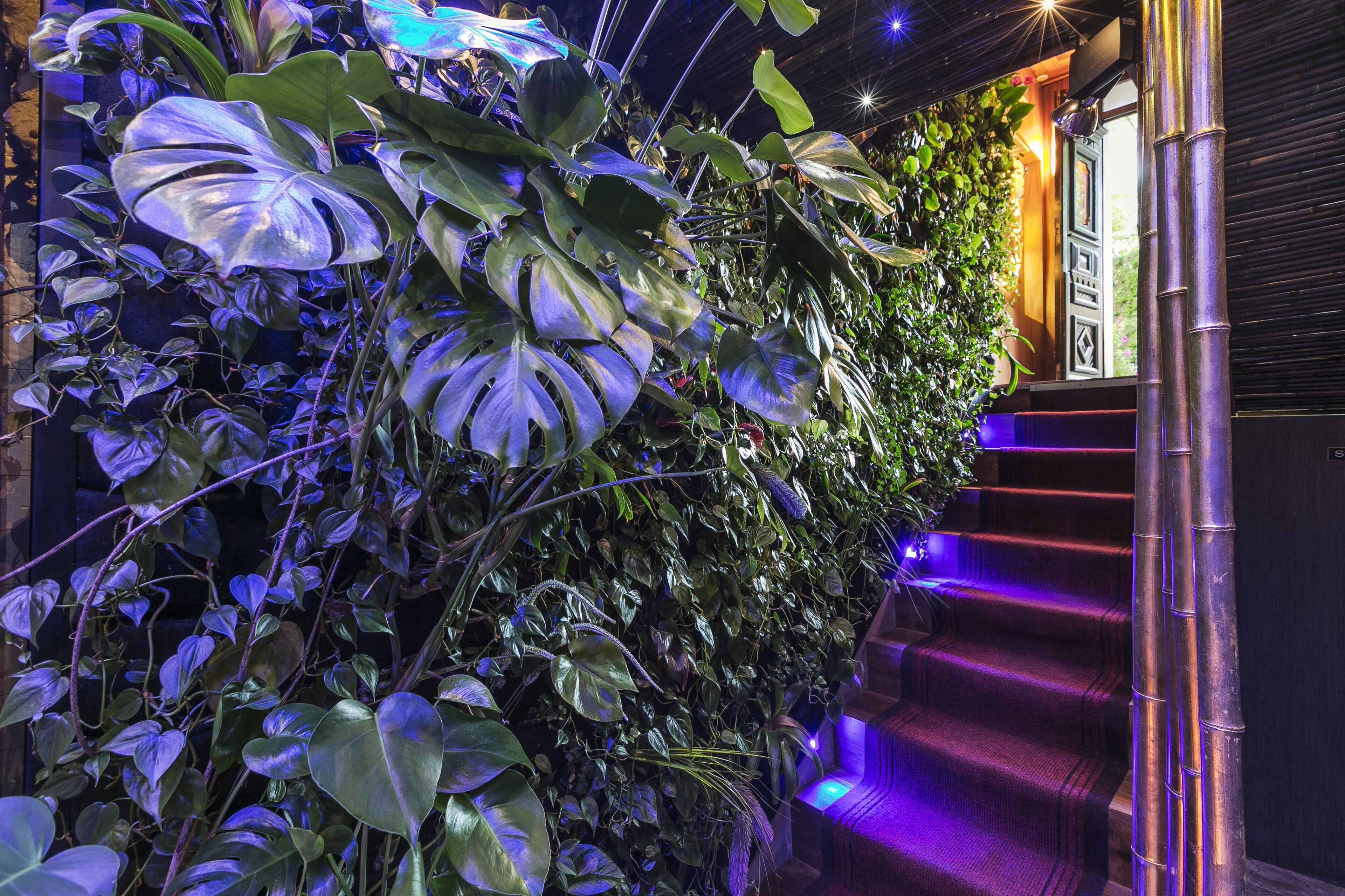 couples treatment room(s), body treatments, hot stone massages