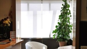 Un espace d’accueil avec un panneau indiquant « SORTIE », un comptoir de réception, un fauteuil blanc, une plante en pot et une grande fenêtre laissant entrer la lumière naturelle.