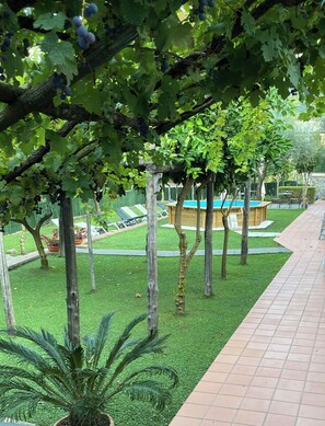 Garden - Farfalle E Gabbiani (Tramonti)