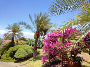 Exterior - Cases Couleurs (Saint-Leu)