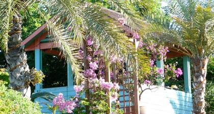 Cases Couleurs