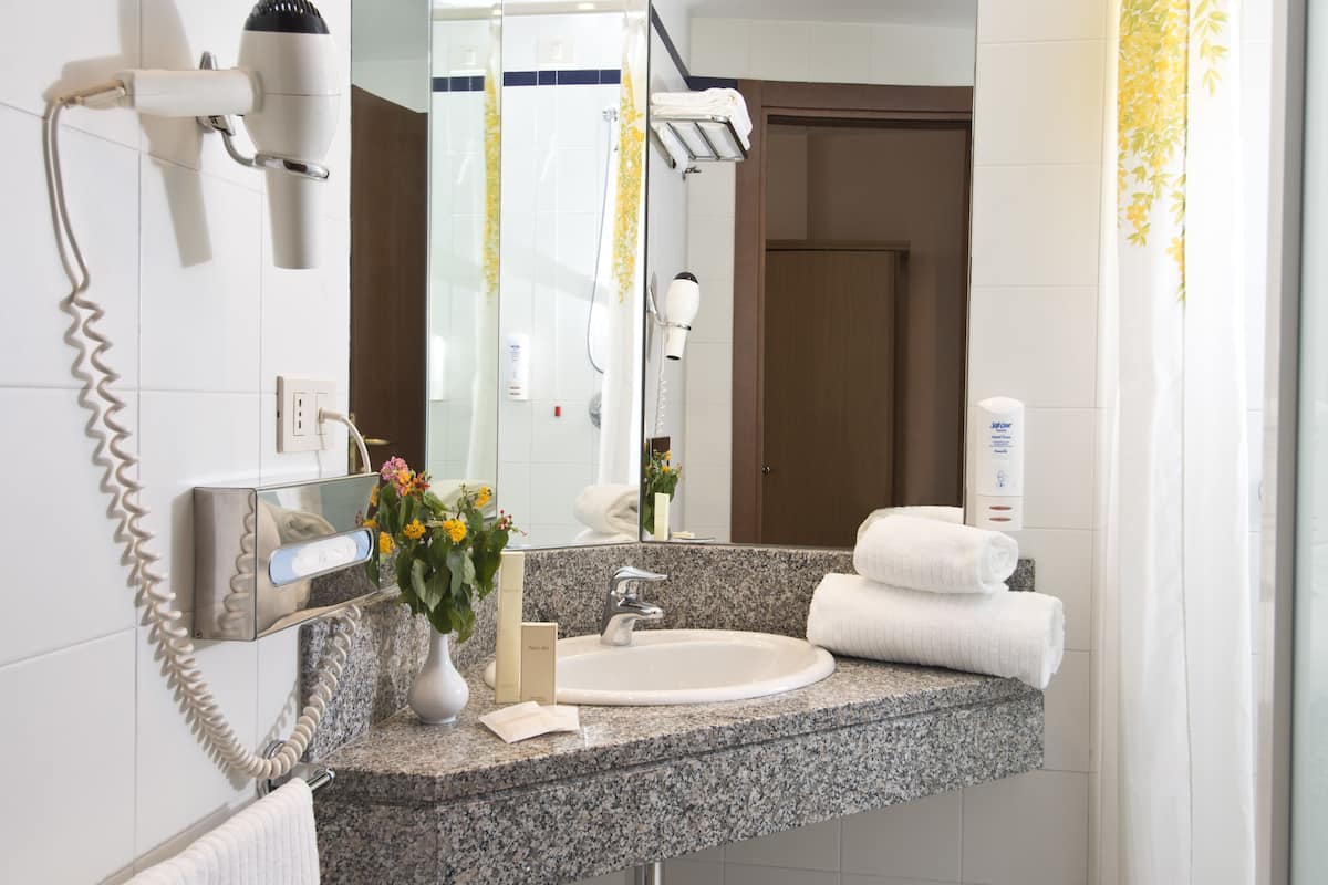 shower, free toiletries, hair dryer, bidet