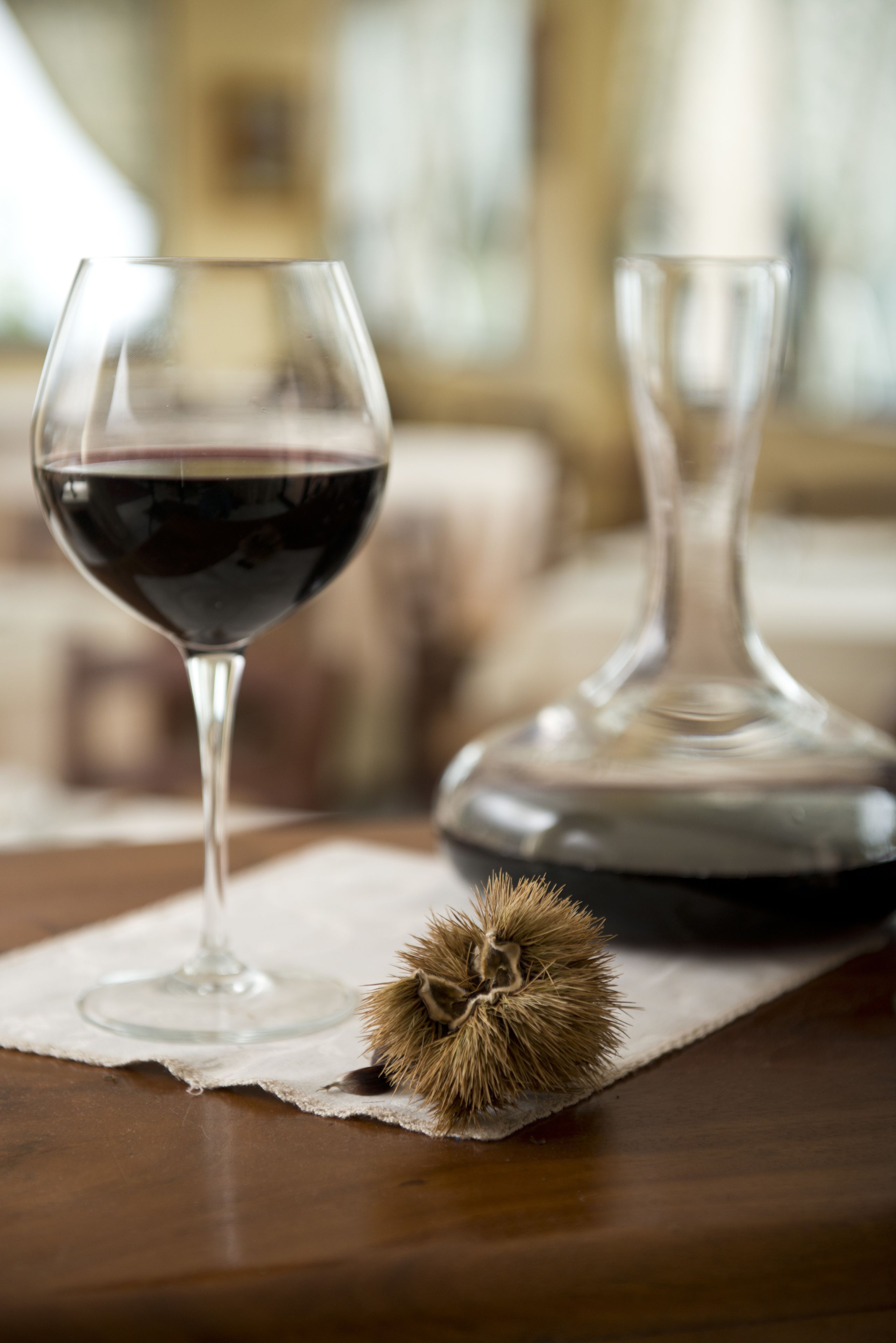 Un verre à vin contenant du vin rouge, posé sur une table, à côté d’une carafe et d’une fleur séchée.