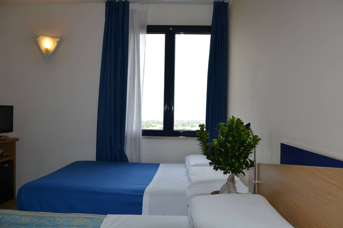 A hotel room with two beds, a TV, a window with curtains, and a plant.