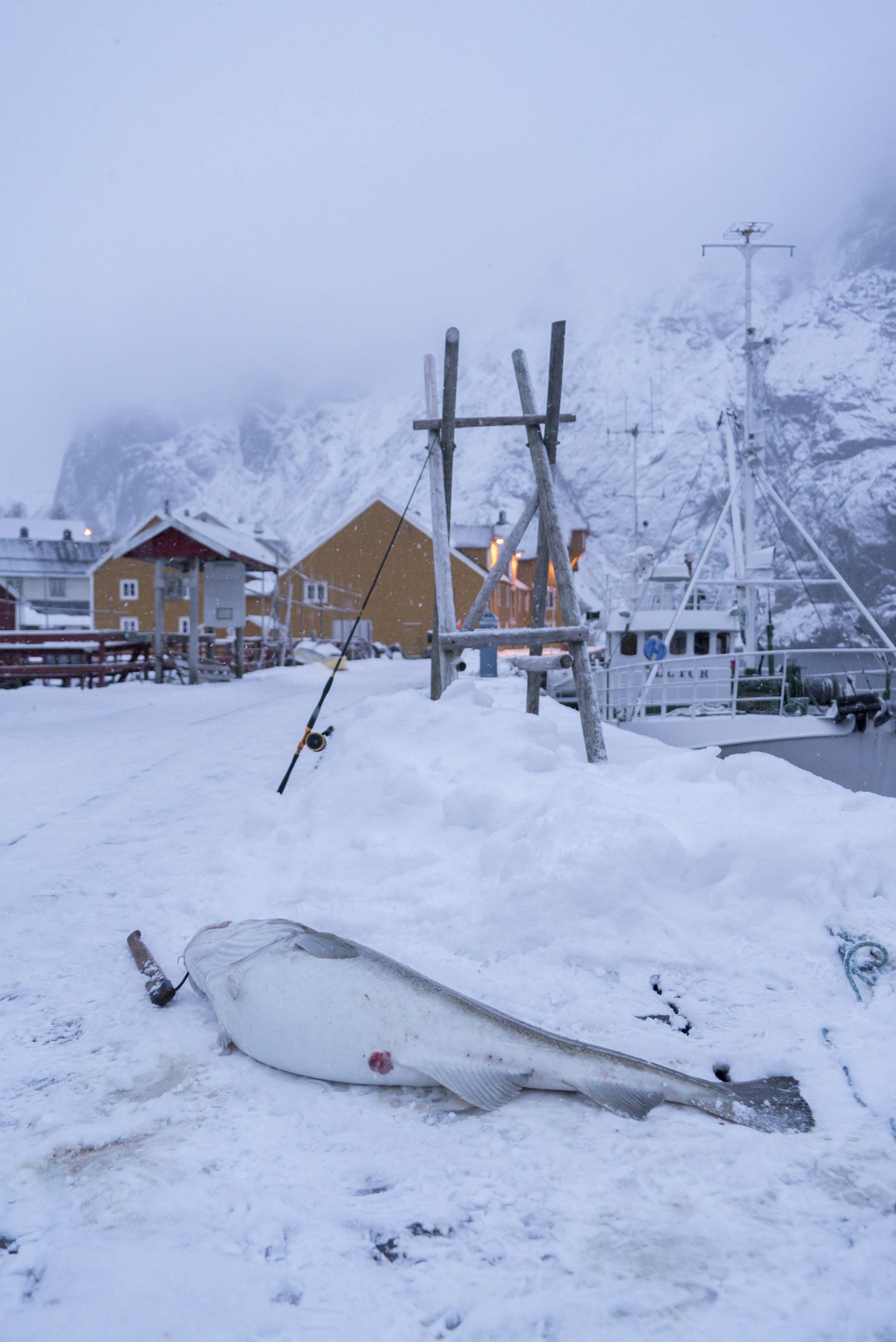 A snow-covered outdoor area with a wooden structure, a fishing rod, and a boat in the background.