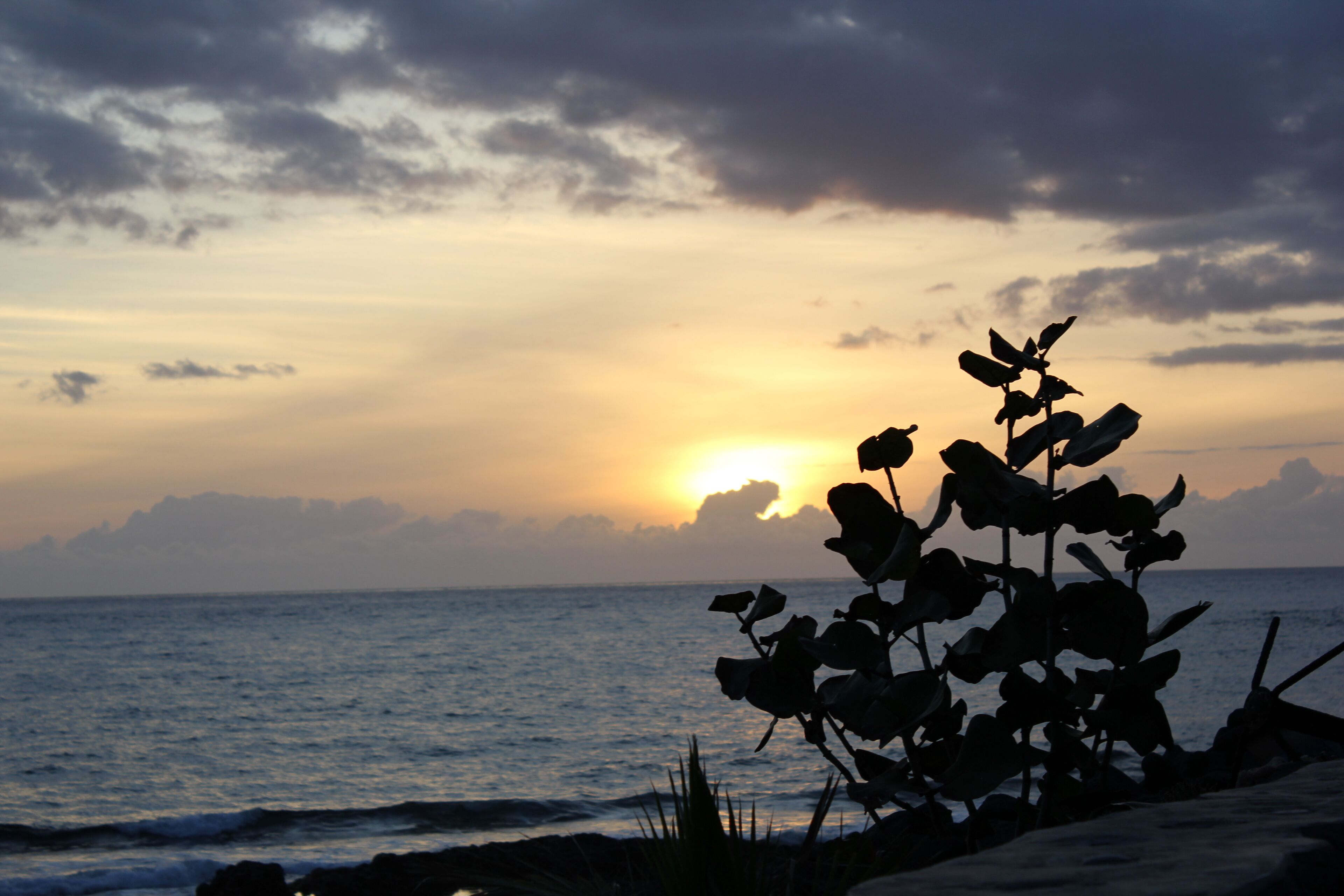 land view from property