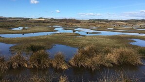 View from property - The Lodge on the Marsh (Sandown)