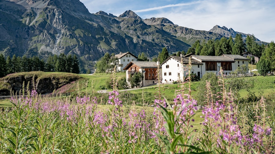 Hotel Chesa Pool Val Fex