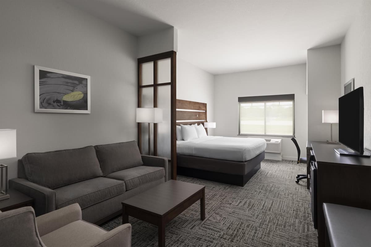 Suite, 1 King Bed, Non Smoking (Shower Only;with Sofabed) | Pillowtop beds, desk, laptop workspace, blackout drapes