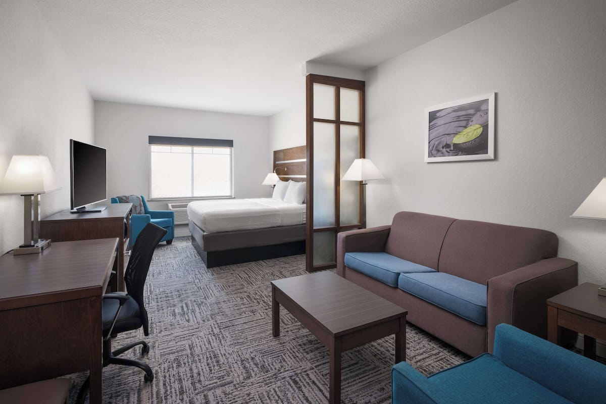 Suite, 1 King Bed, Non Smoking (Shower Only;with Sofabed) | Pillow-top beds, desk, laptop workspace, blackout curtains