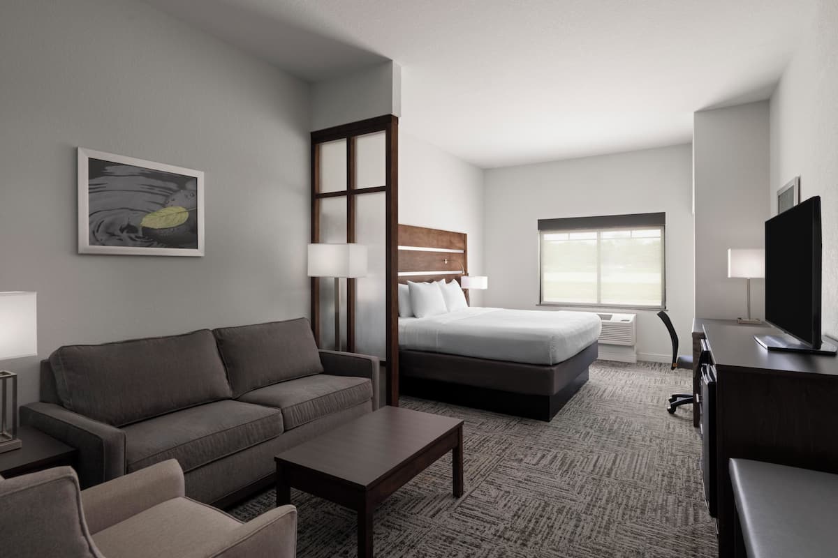 Suite, 1 King Bed, Non Smoking (Shower Only;with Sofabed) | Living area | 50-inch LED TV with cable channels, TV