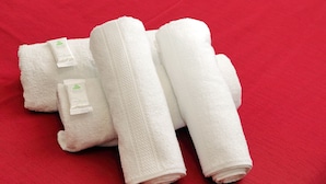 Four neatly folded white towels with a green logo on a red background. - Dandi Domus (Rome)