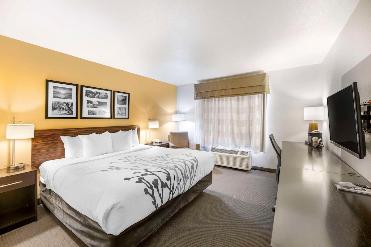 Desk, iron/ironing board, rollaway beds (surcharge), WiFi (free)