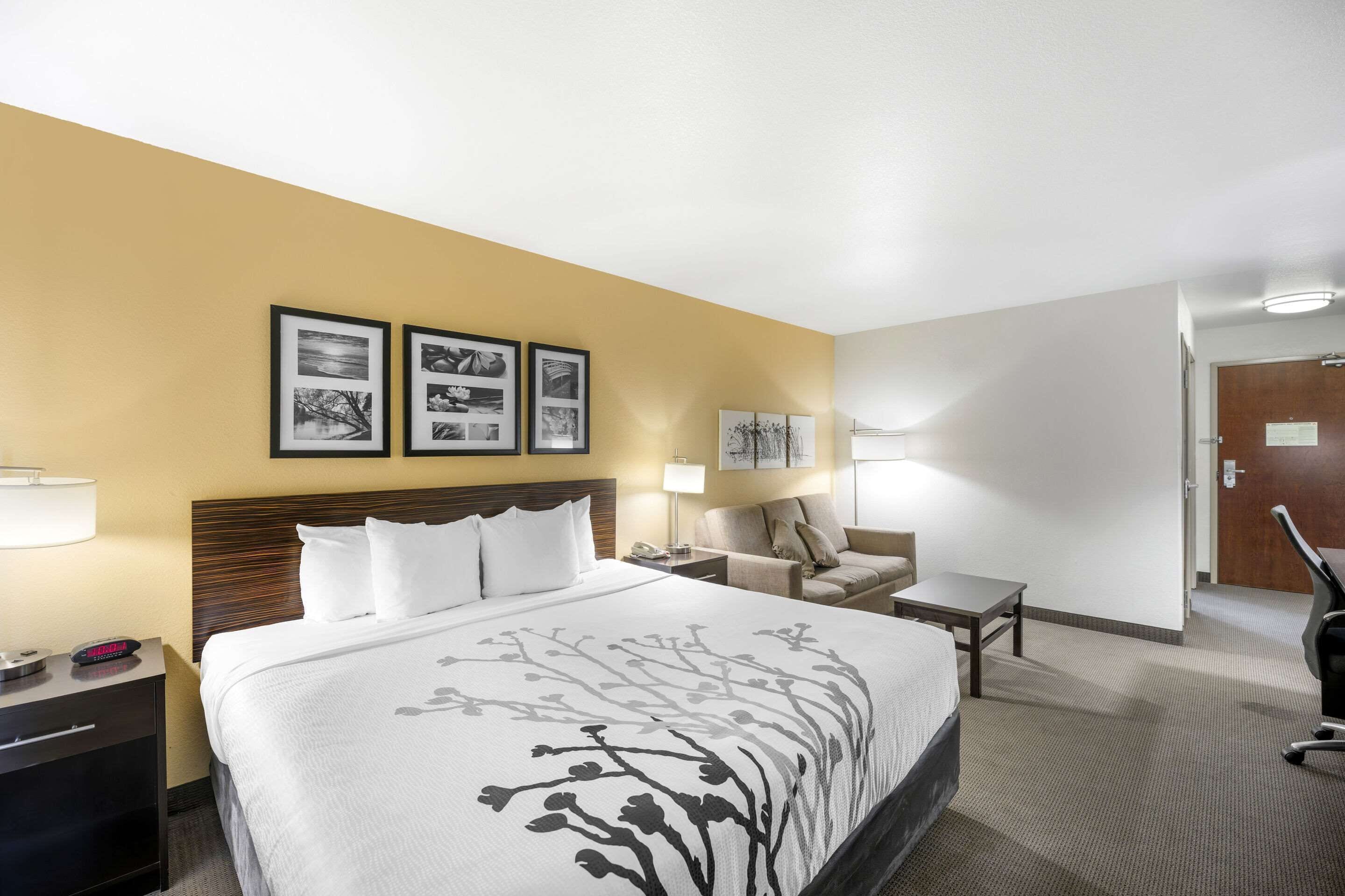 desk, iron/ironing board, free rollaway beds, free wifi