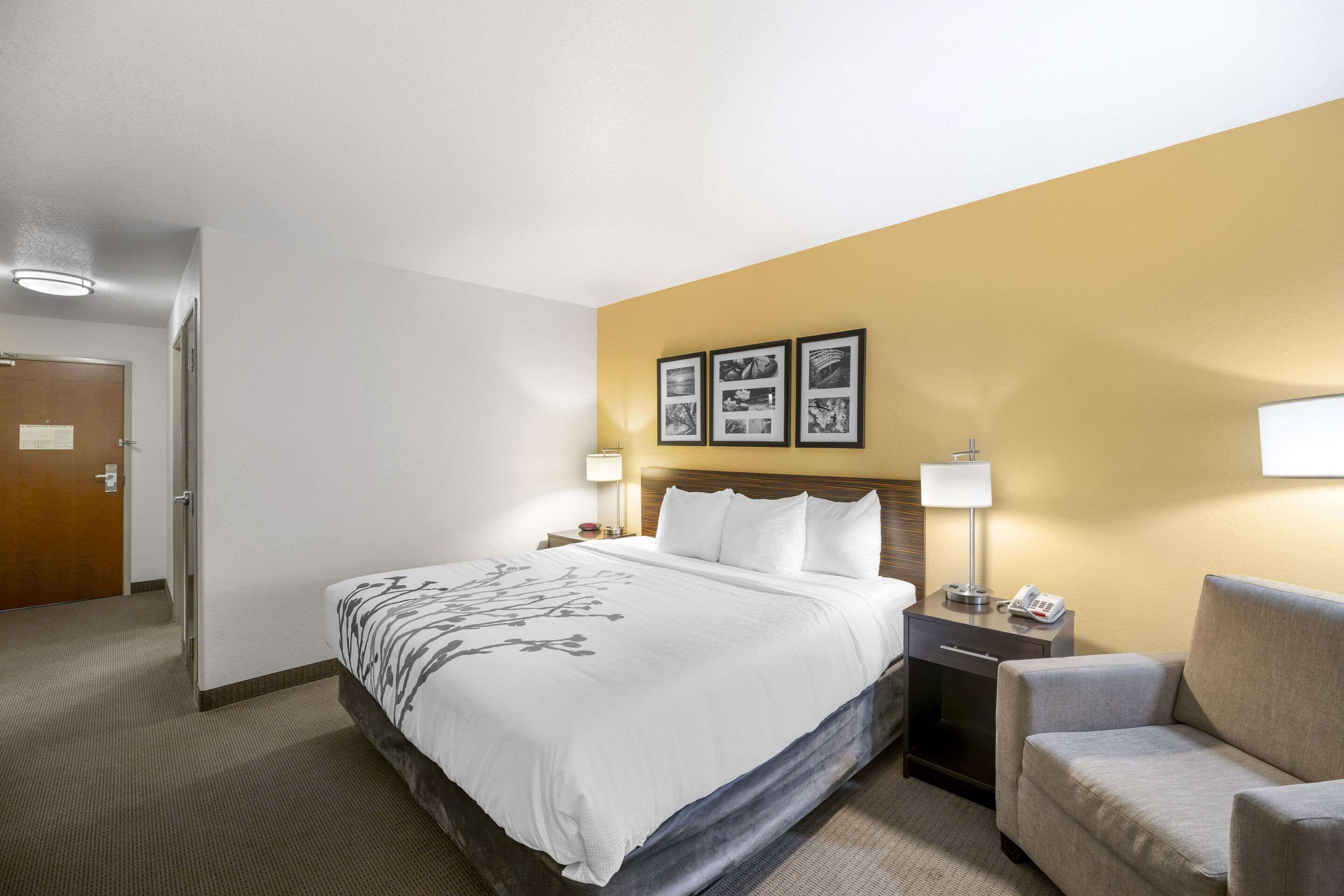 A hotel room with a bed, a nightstand, a chair, and a wall with framed pictures.