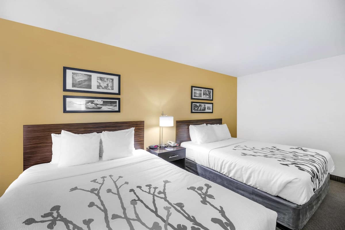 A hotel room with two beds, a nightstand with a lamp, and framed pictures on the wall.