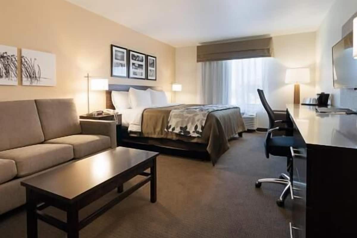 A hotel room with a bed, a desk, a chair, a sofa, and a coffee table.