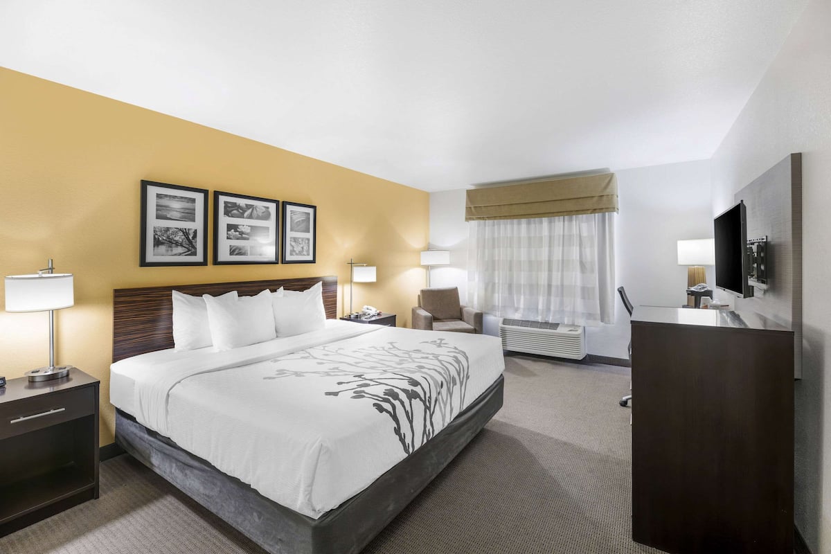 A hotel room with a large bed, a desk, a chair, a TV, and framed pictures on the wall.