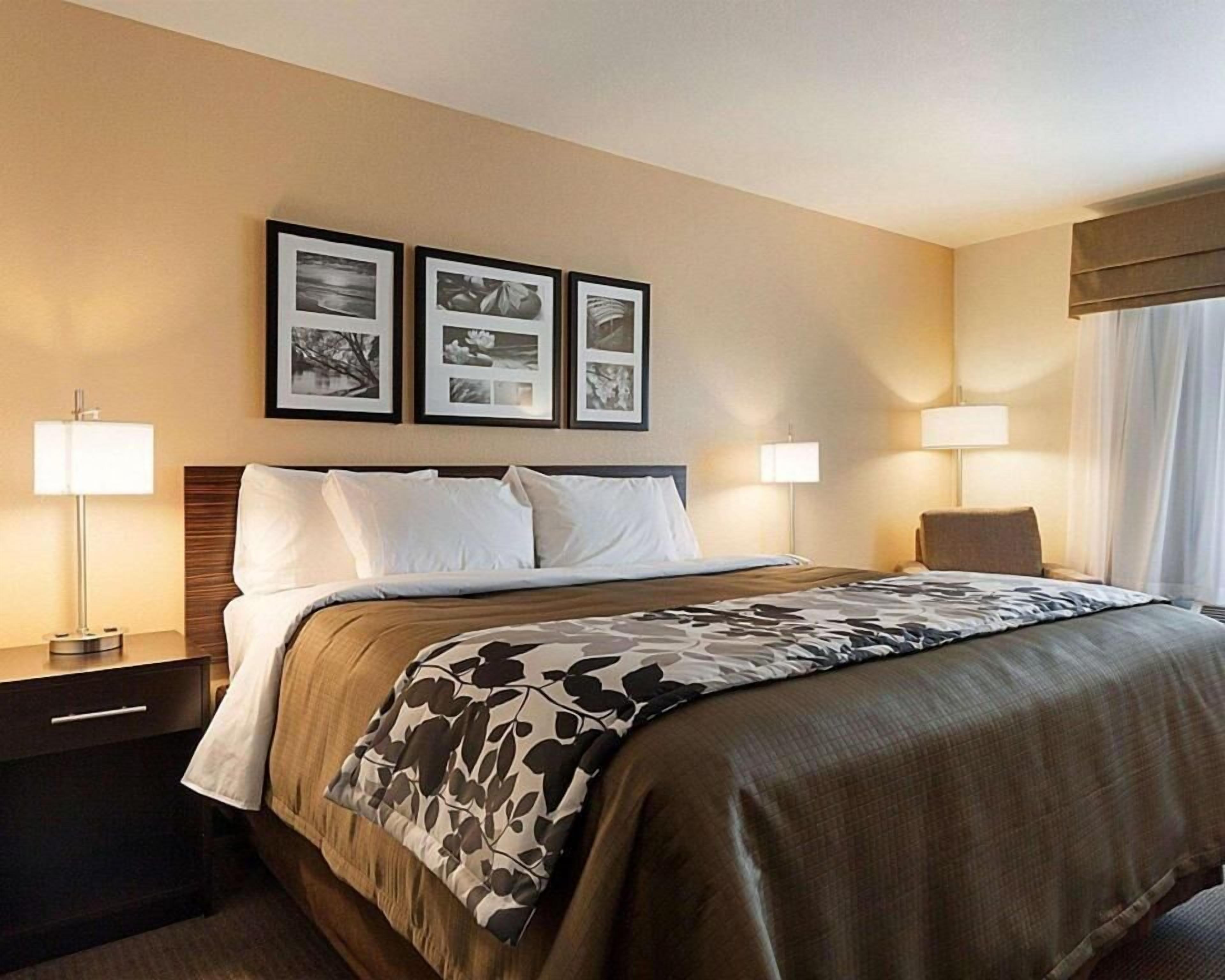 Escriptori, planxa i posts de planxar i llits addicionals 