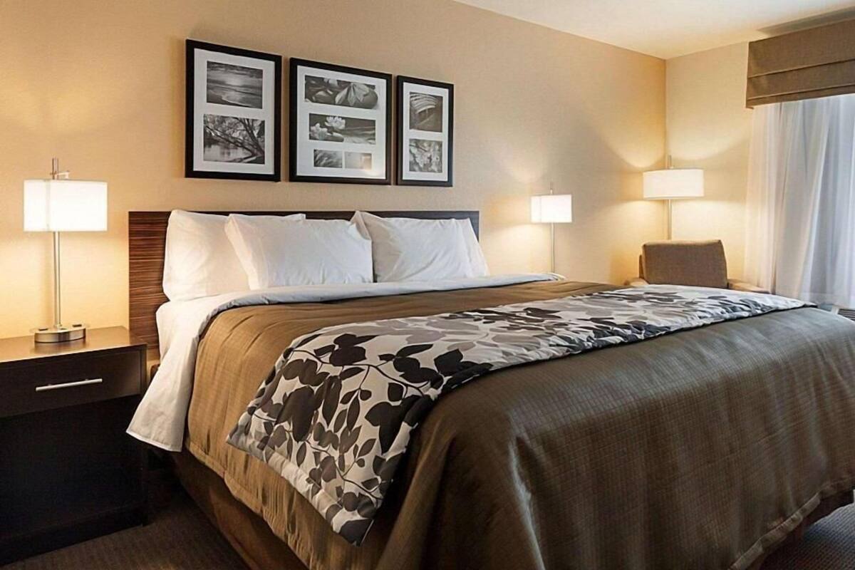 A hotel room with a bed, two bedside lamps, a nightstand, a window with curtains, and three framed pictures on the wall.