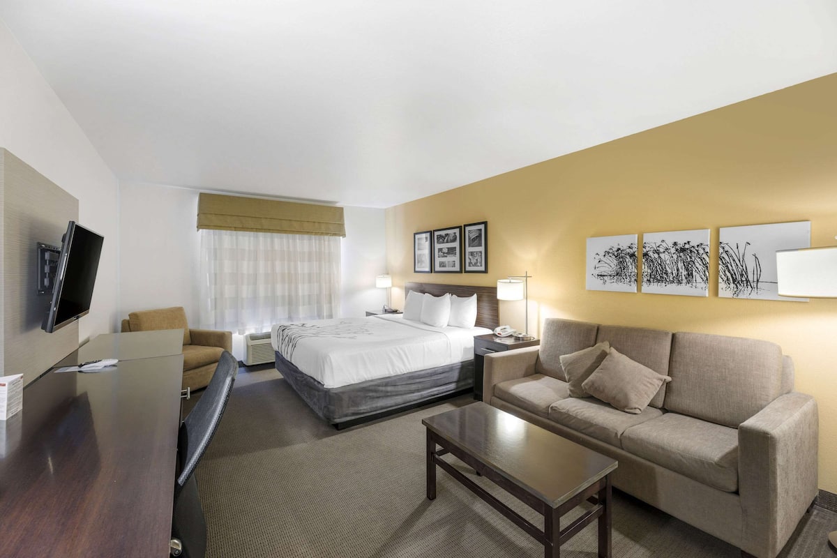 A hotel room with a bed, a sofa, a desk, and a TV.