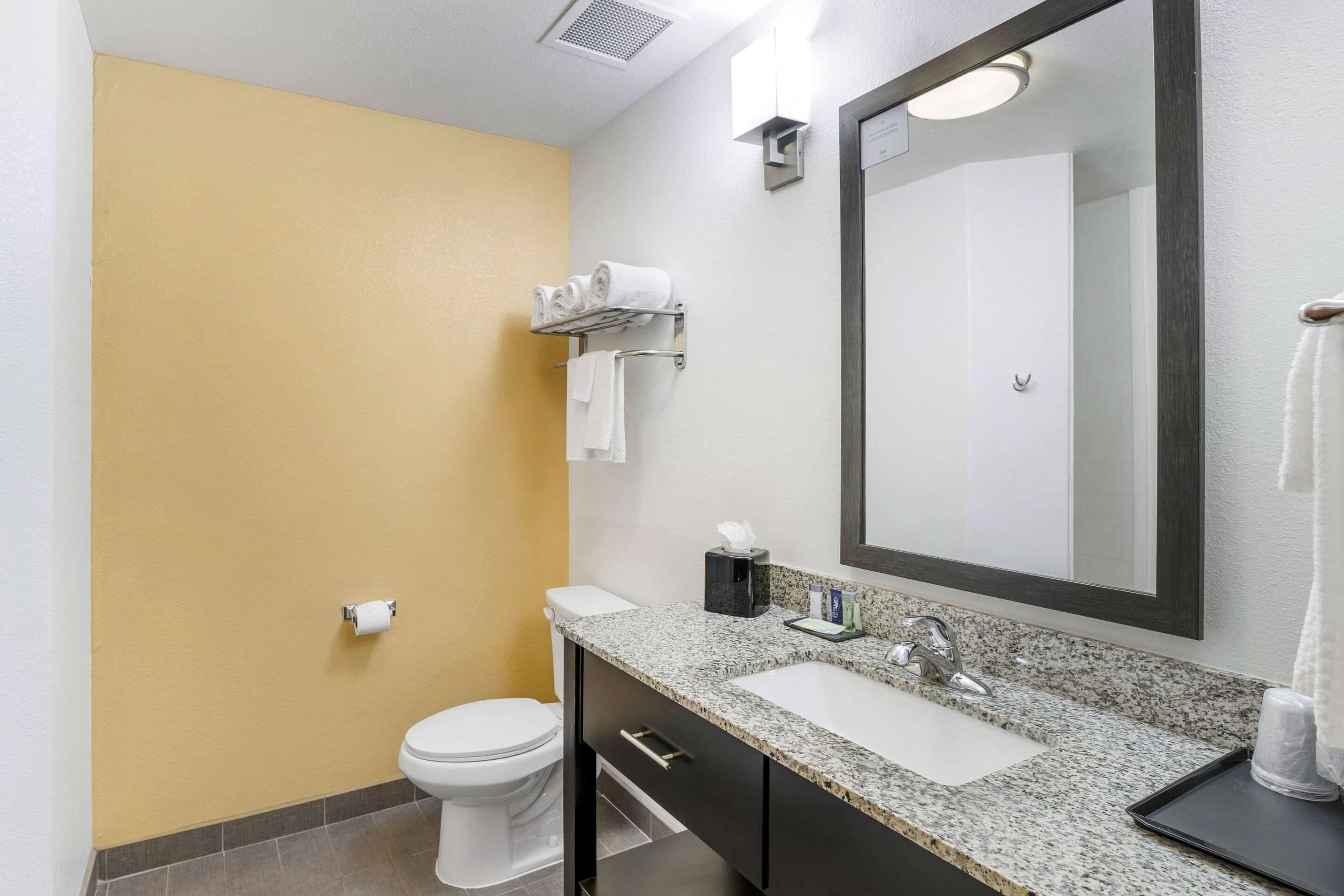 suite, 1 king bed with sofa bed, non smoking | desk, iron/ironing board, free rollaway beds, free wifi