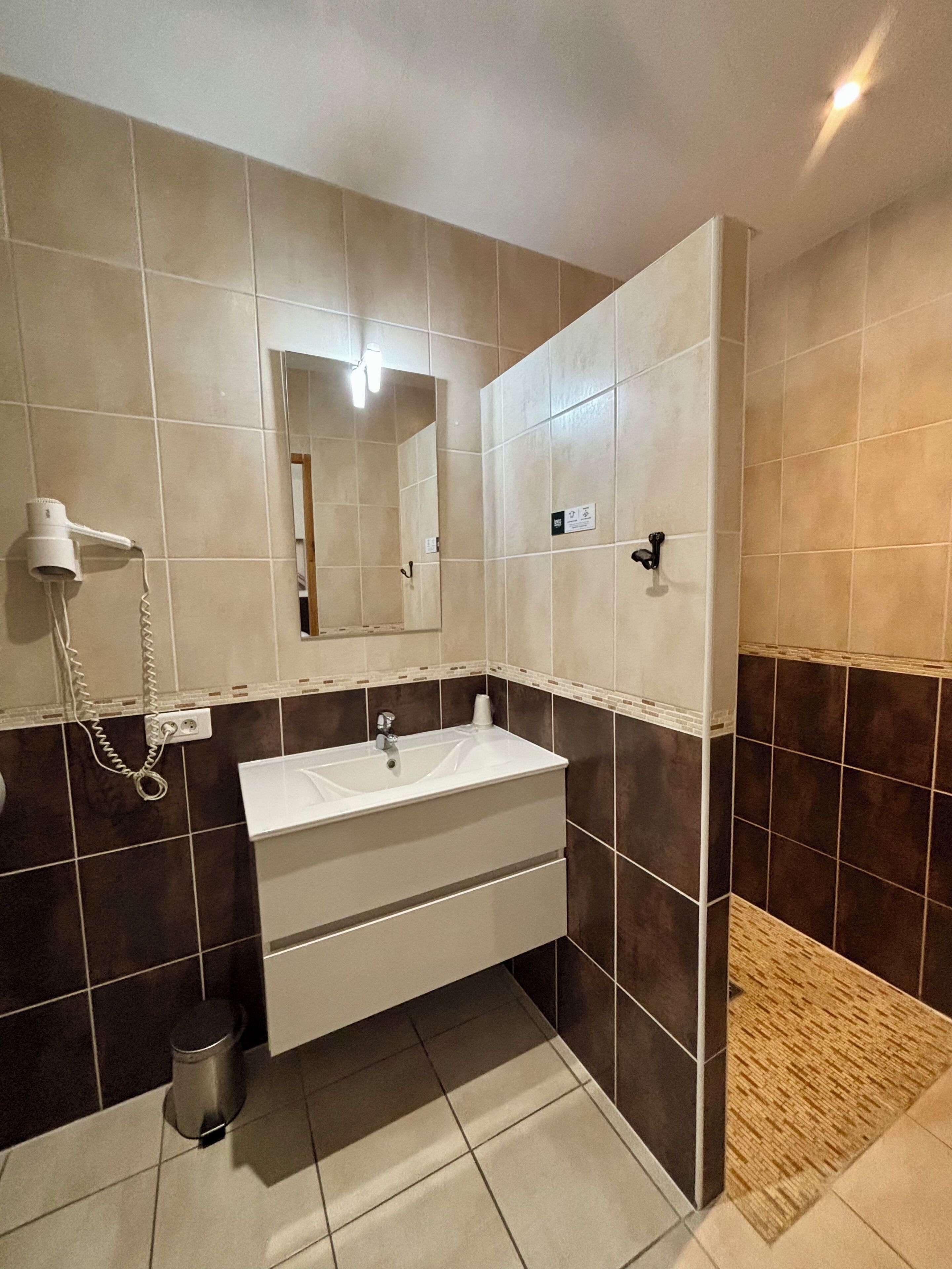 A bathroom with a sink, mirror, and hairdryer.