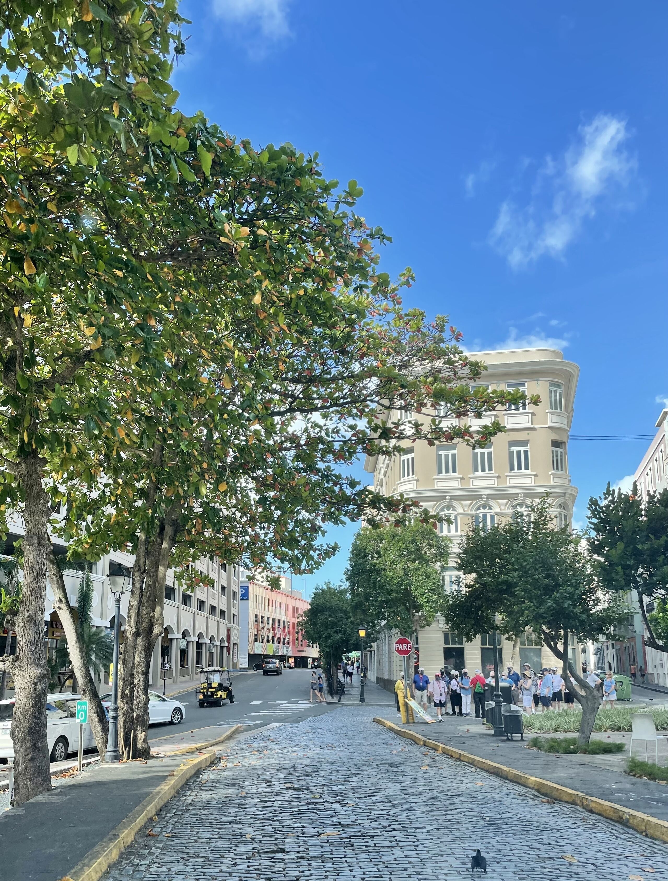 Photo - Navona Studios