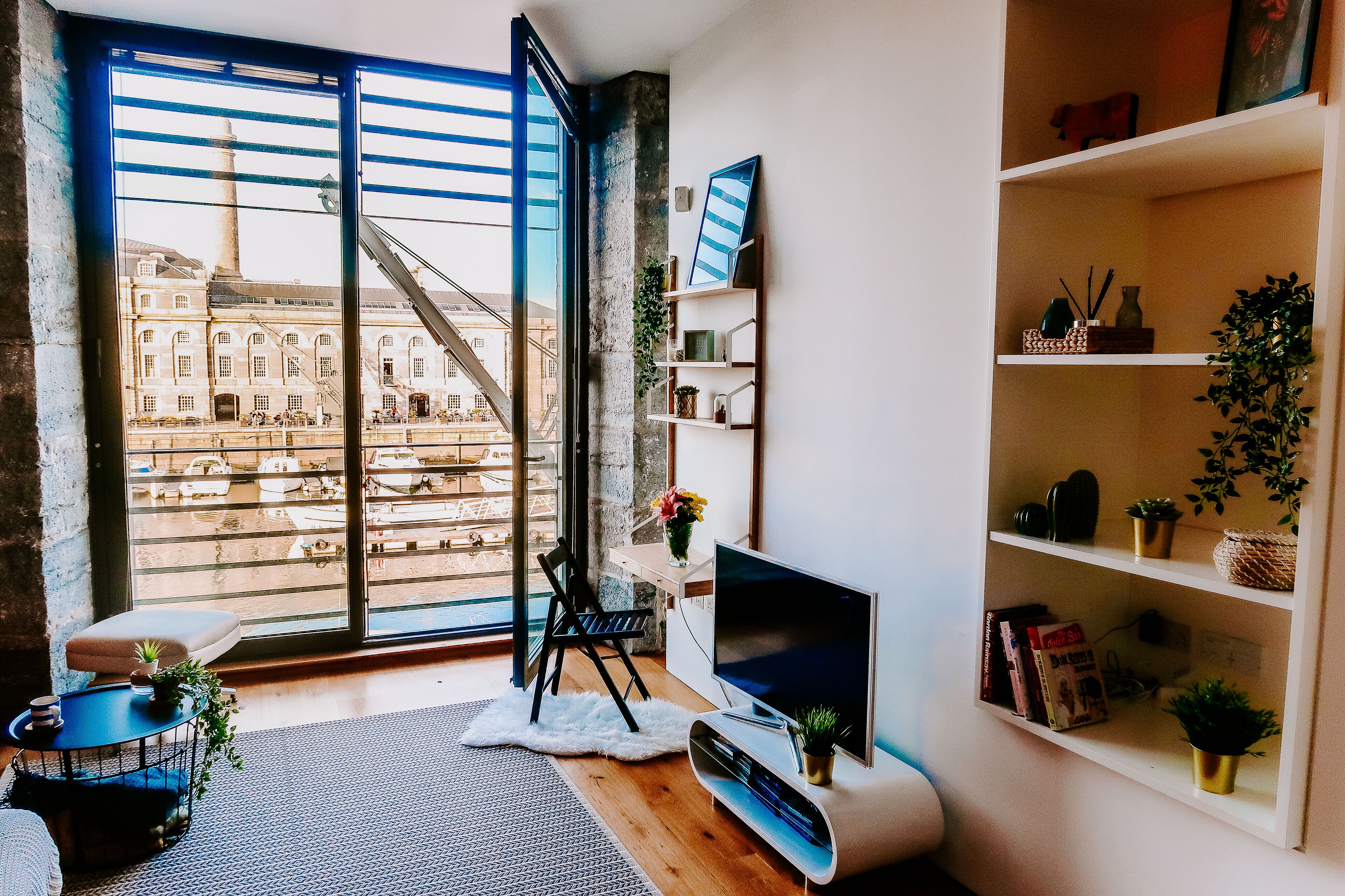 A modern living room with a large window, a flat-screen TV, a bookshelf, and a small table with a plant.