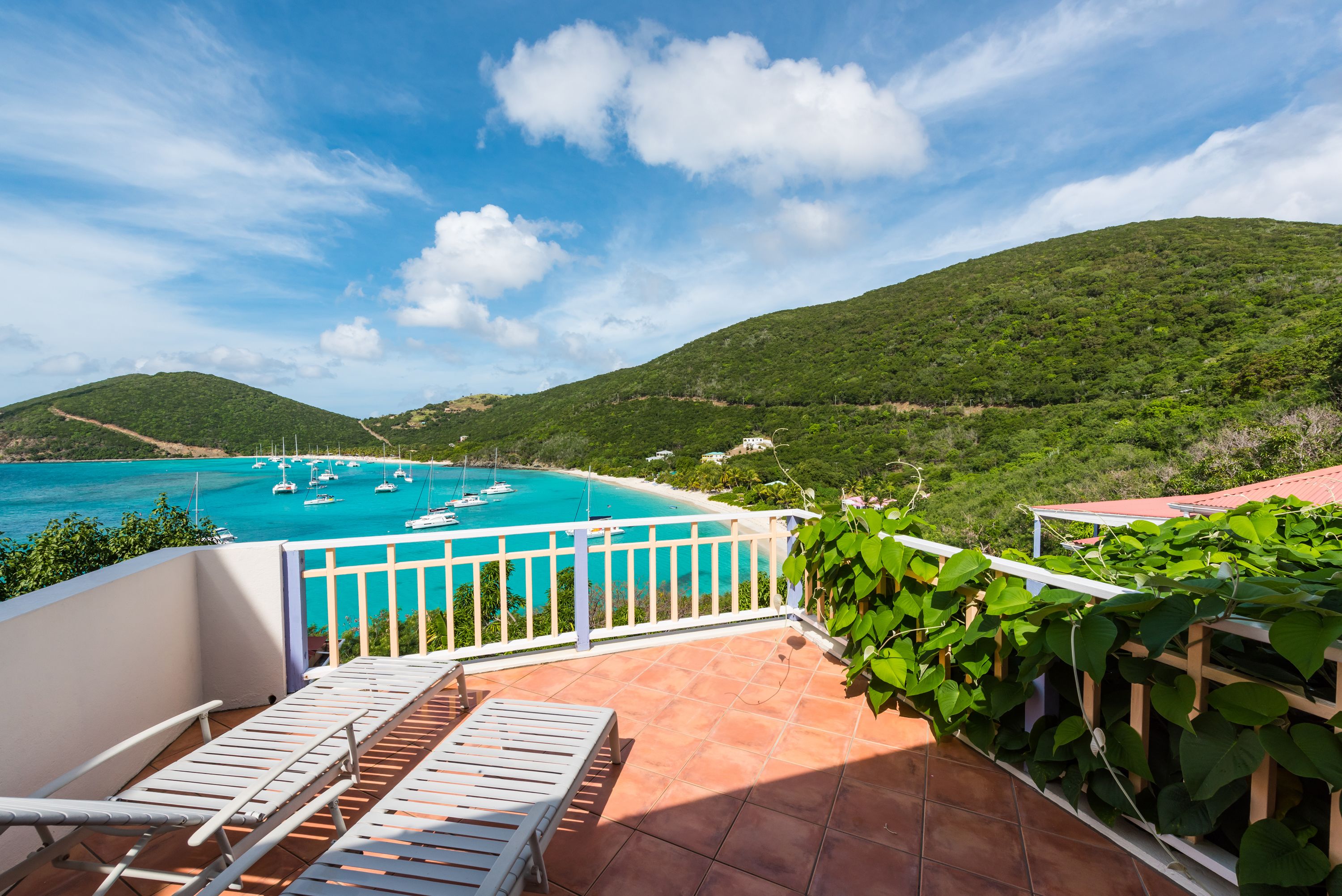 Vila (Plantation) | Teras/patio