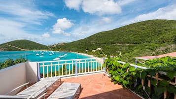 Vila (Plantation) | Teras/patio