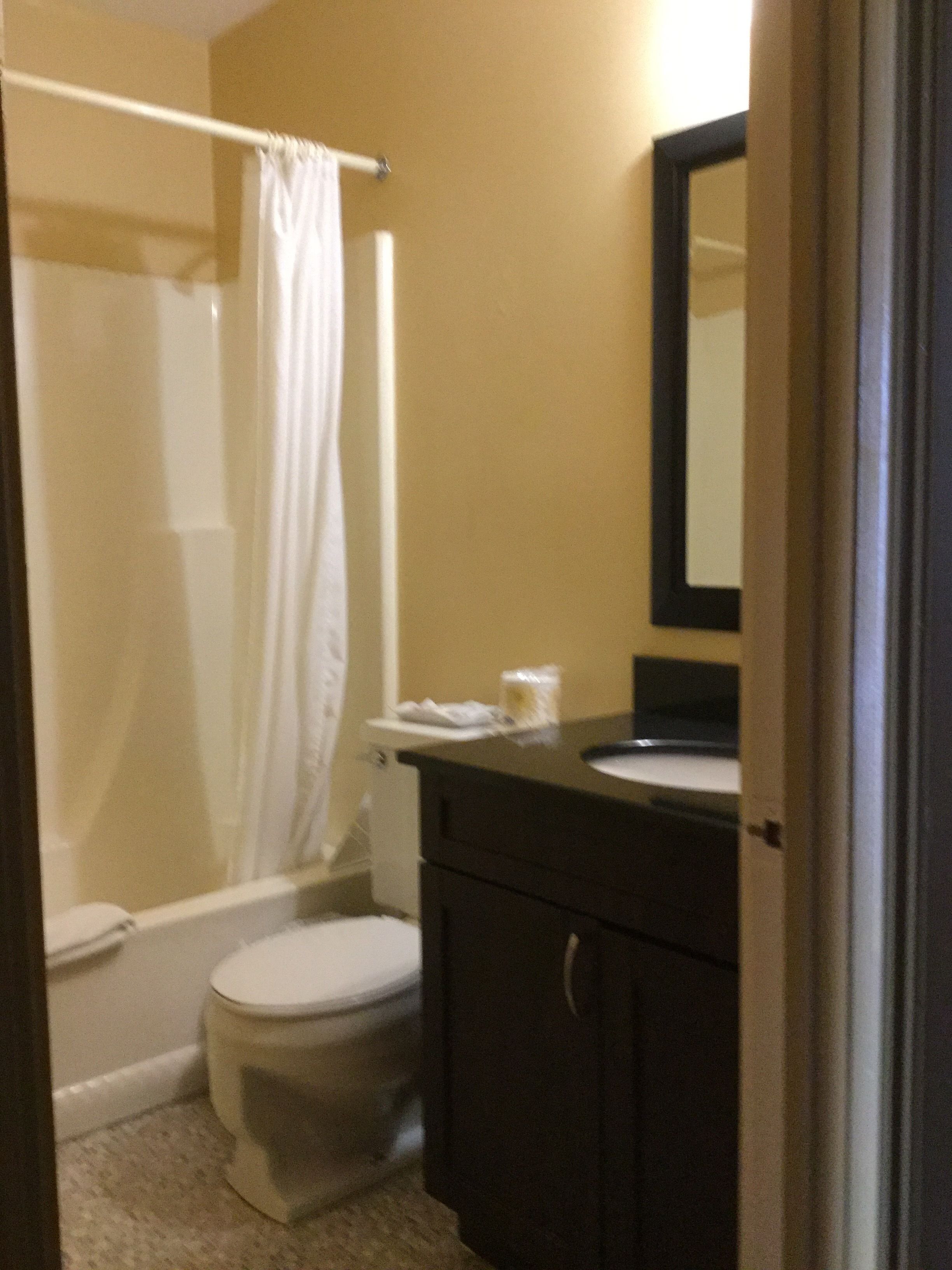 Bañera con ducha, artículos de tocador gratuitos, secador de pelo
