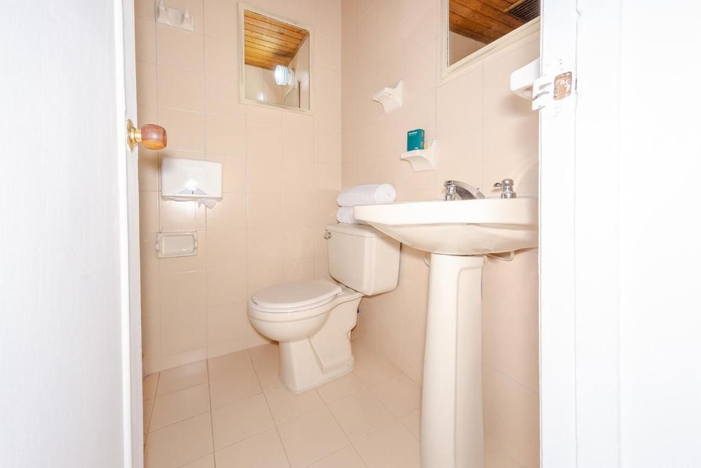 A bathroom with a toilet, sink, and a mirror.