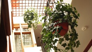 Interior - Boutique Hotel Calle 20 (San José)