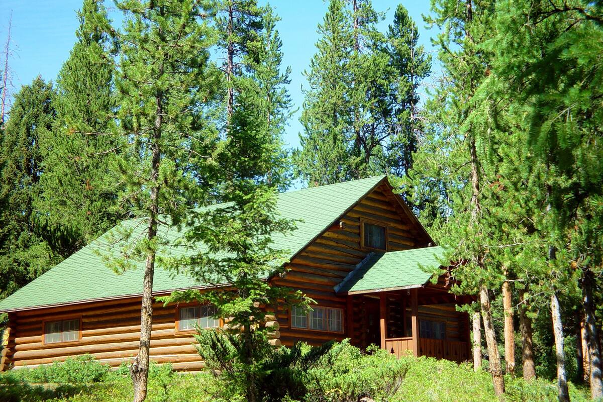 A log cabin with a green roof, surrounded by tall pine trees.