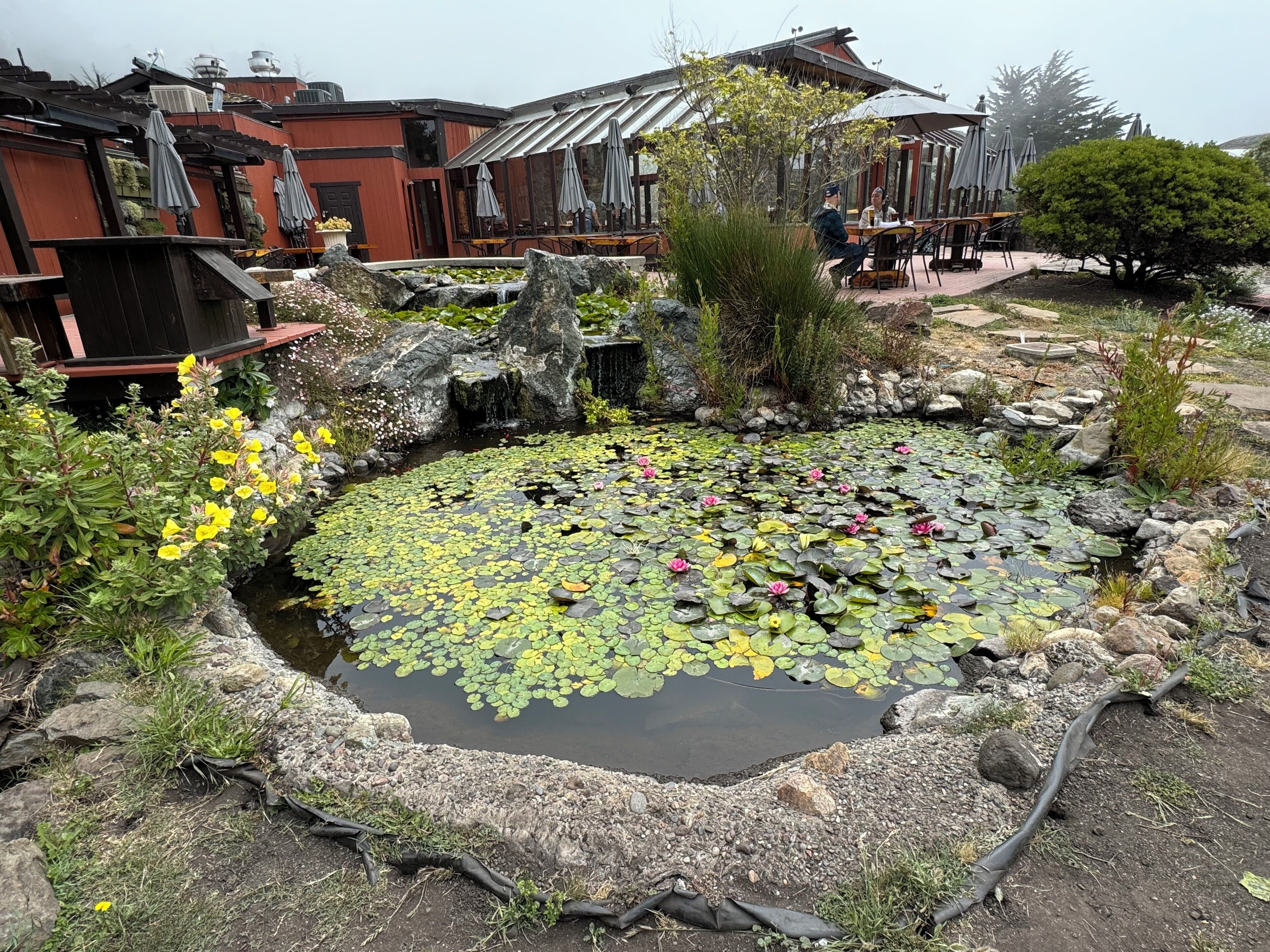 breakfast, lunch, dinner served; californian cuisine, sea views