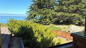 Vista de uma varanda com vista para um jardim, que inclui um deck de madeira, uma cerca vermelha e uma grande árvore.
