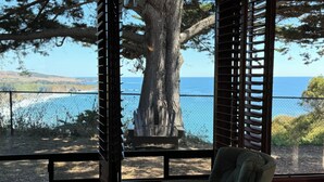 A room with a view of a tree and a body of water through large windows.