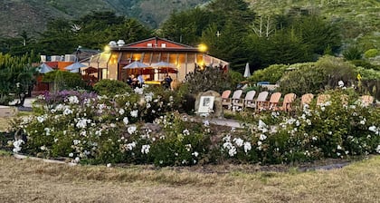 Ragged Point Inn and Resort