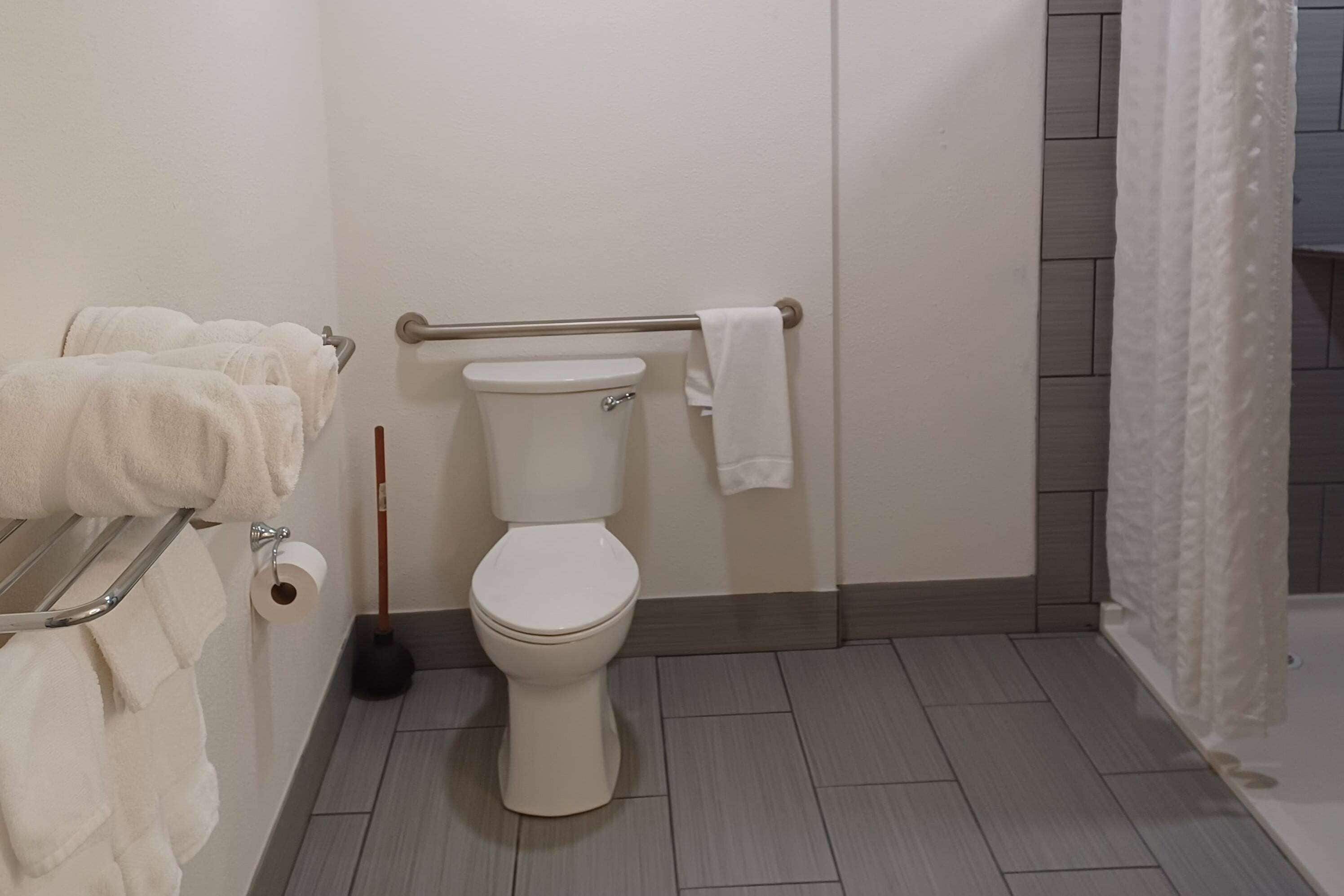 A bathroom with a toilet, a handrail, a roll of toilet paper, and a plunger.
